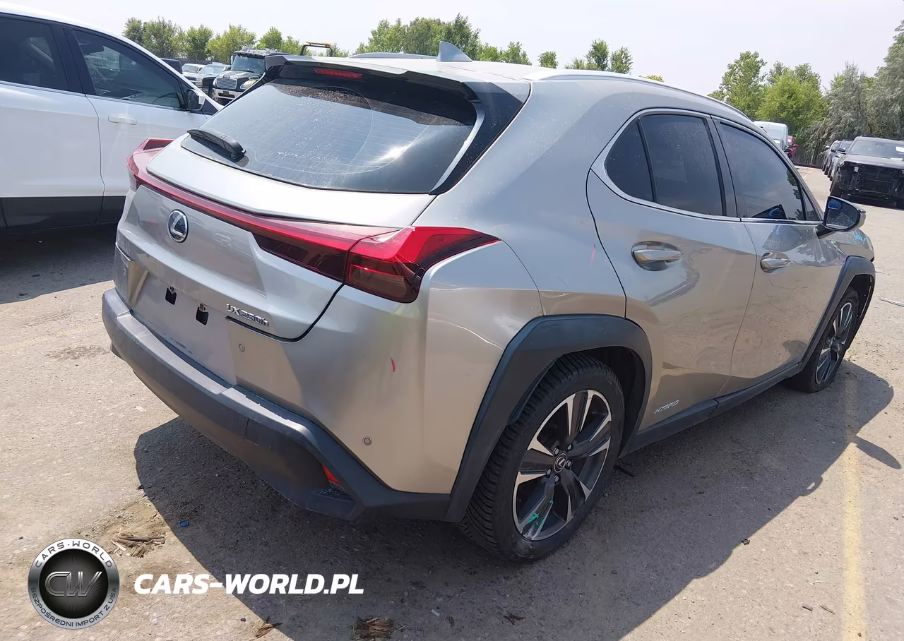 2019 Lexus Ux 250H VIN:JTHU9JBH8K2002035 - 4