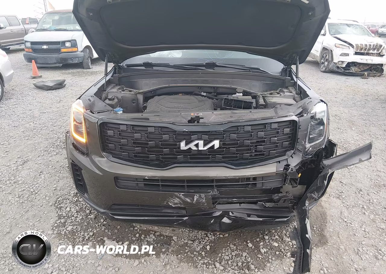 2022 Kia Telluride Ex VIN:5XYP3DHC0NG274800 - 10