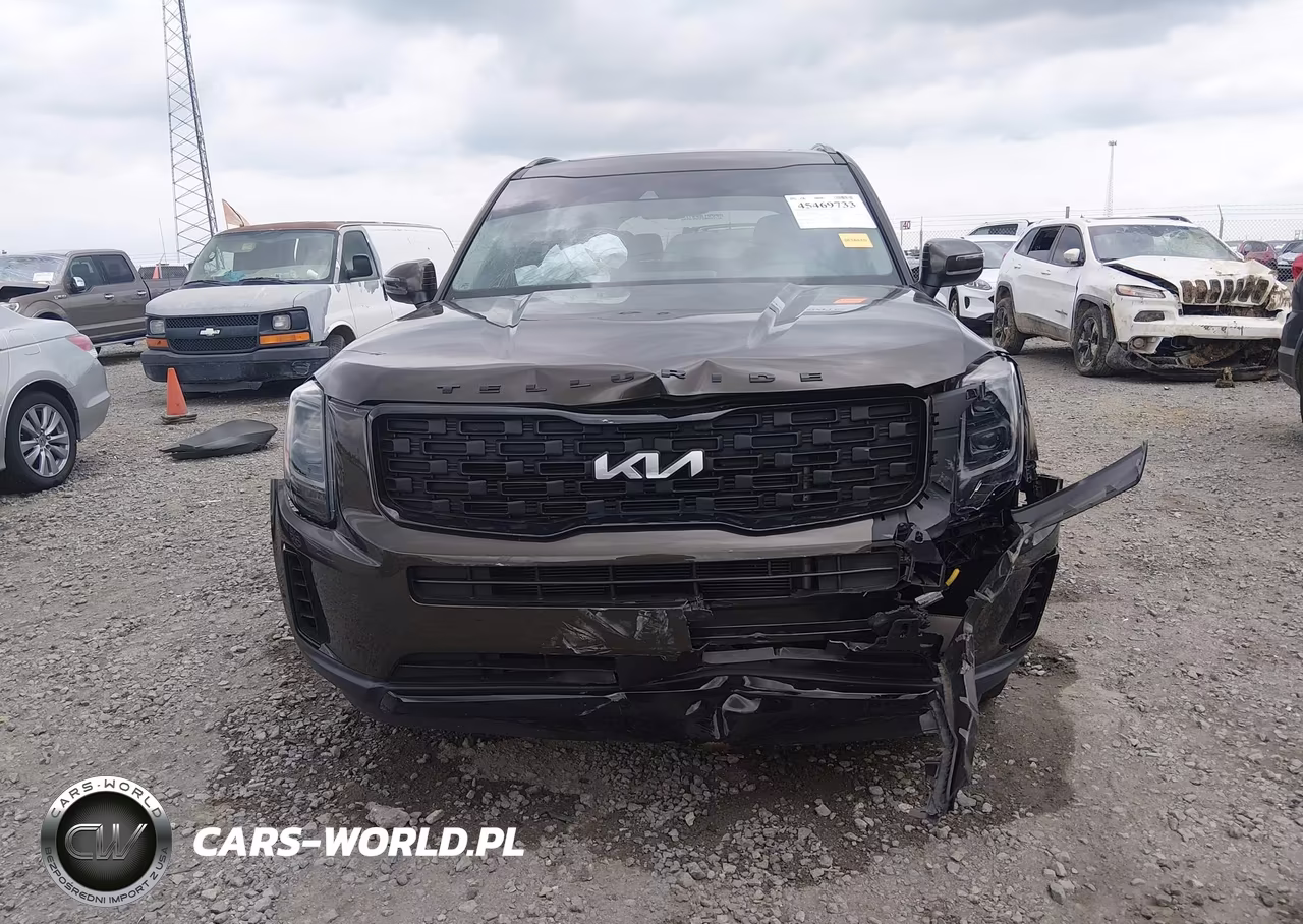 2022 Kia Telluride Ex VIN:5XYP3DHC0NG274800 - 12