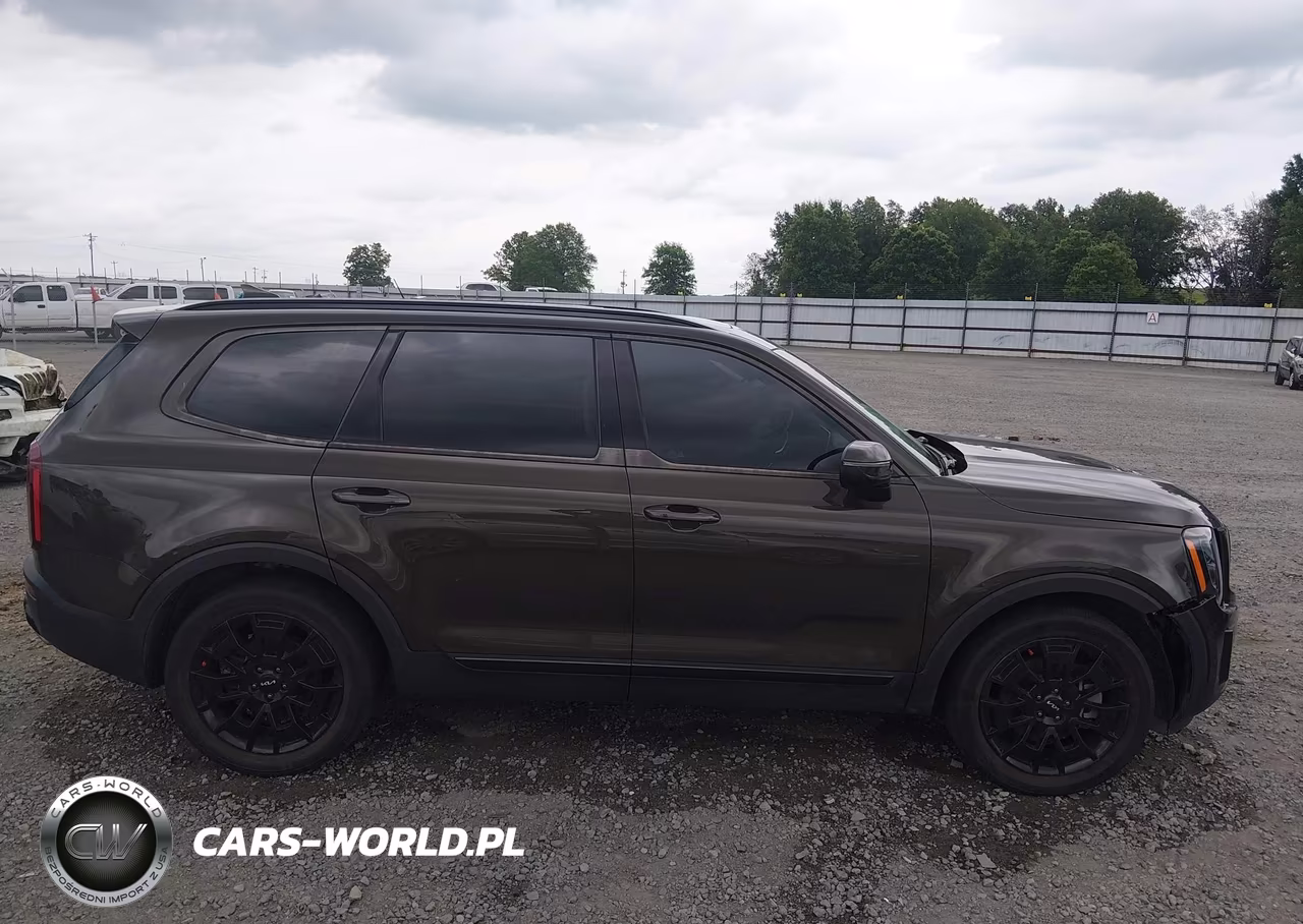 2022 Kia Telluride Ex VIN:5XYP3DHC0NG274800 - 13