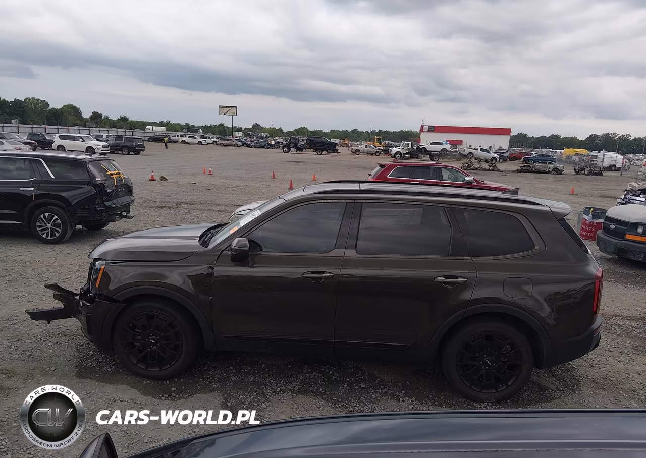 2022 Kia Telluride Ex VIN:5XYP3DHC0NG274800 - 14