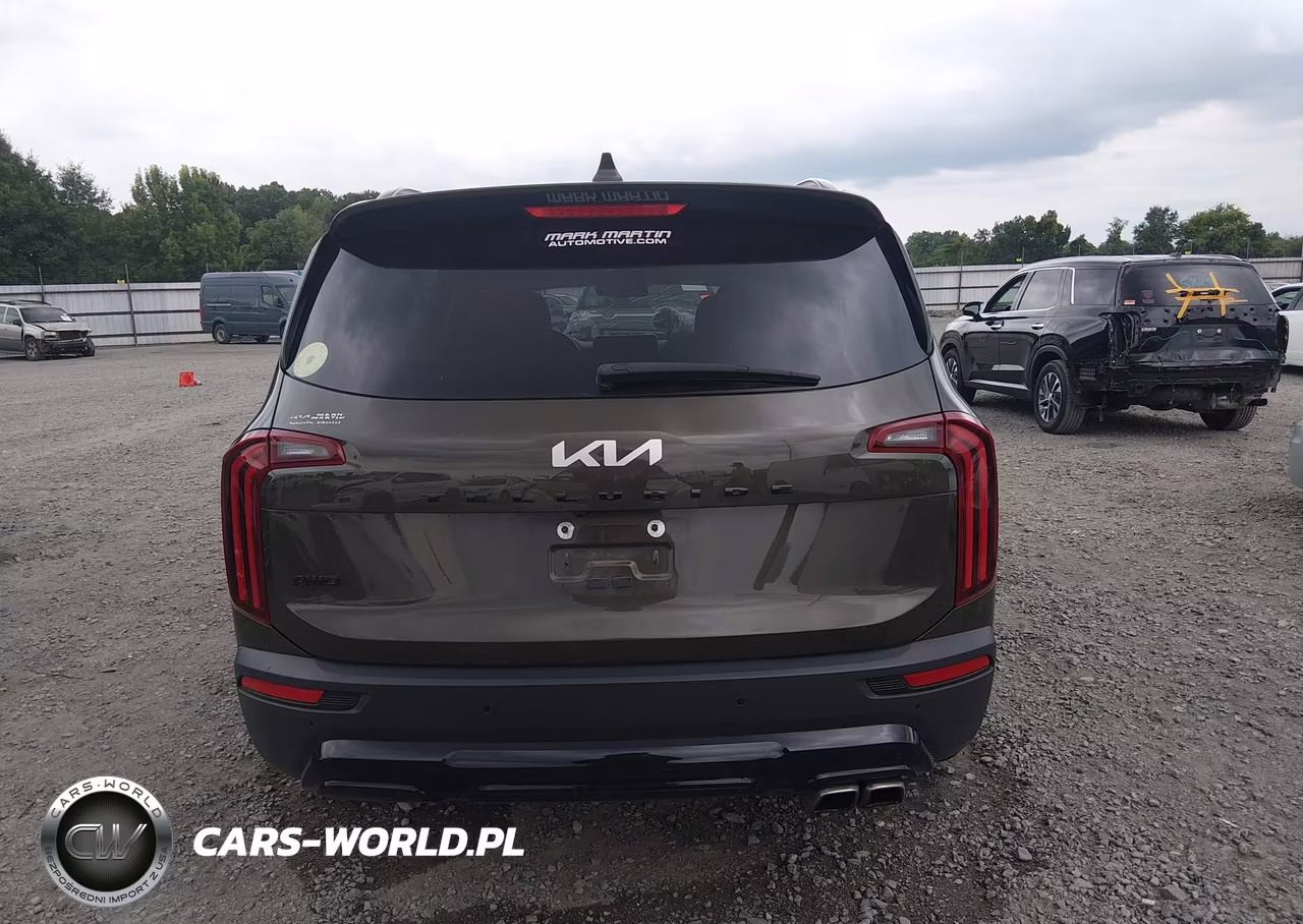 2022 Kia Telluride Ex VIN:5XYP3DHC0NG274800 - 16