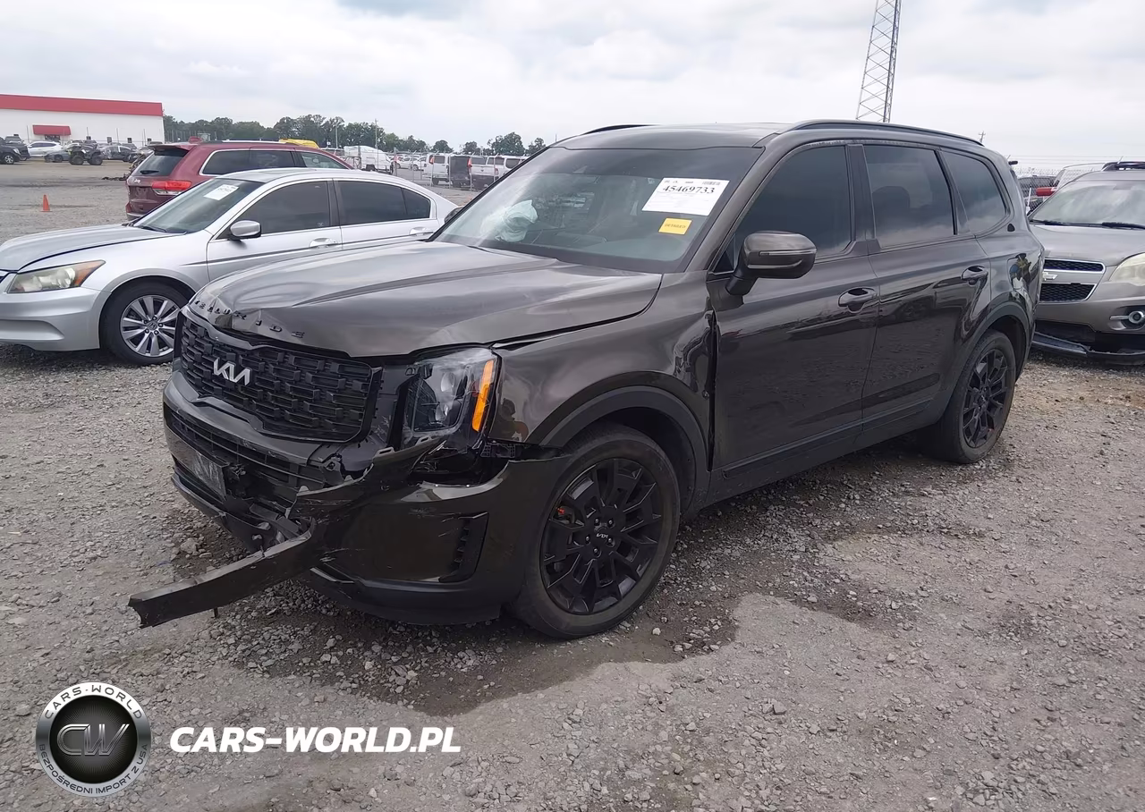 2022 Kia Telluride Ex VIN:5XYP3DHC0NG274800 - 2