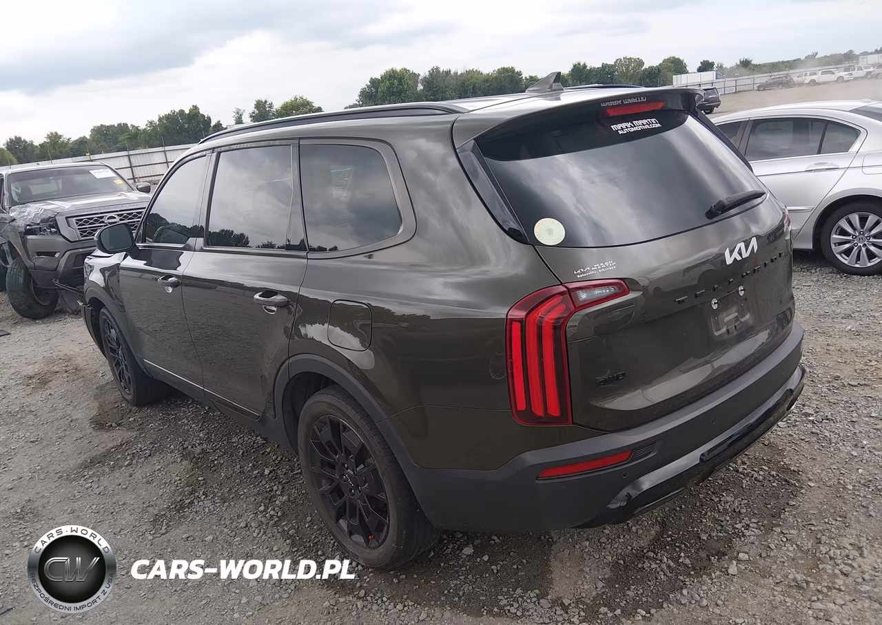 2022 Kia Telluride Ex VIN:5XYP3DHC0NG274800 - 3