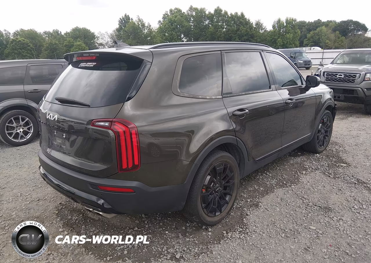 2022 Kia Telluride Ex VIN:5XYP3DHC0NG274800 - 4