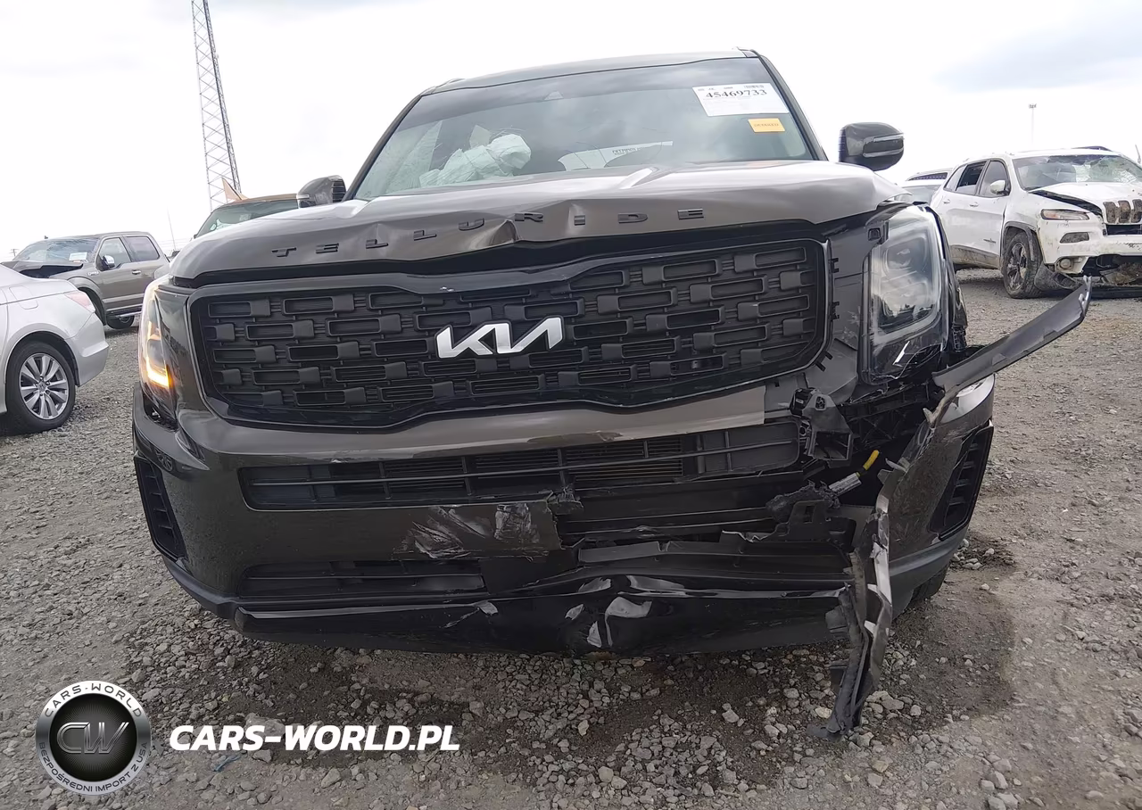 2022 Kia Telluride Ex VIN:5XYP3DHC0NG274800 - 6