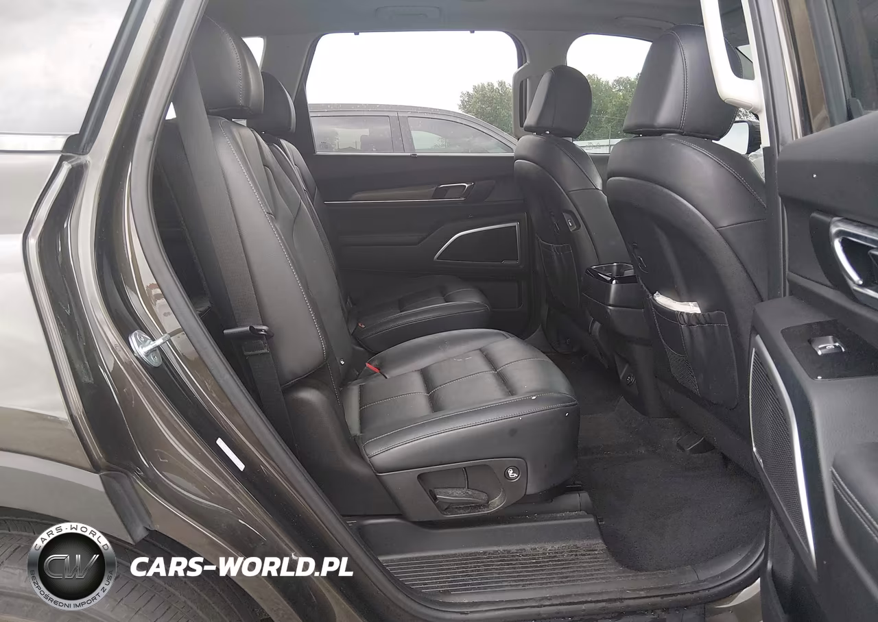 2022 Kia Telluride Ex VIN:5XYP3DHC0NG274800 - 8