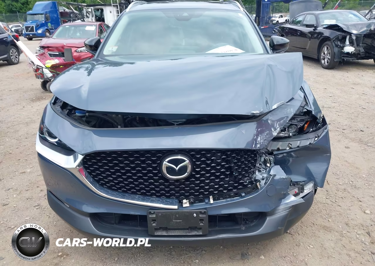2023 Mazda Cx-30 2.5 S Carbon Edition VIN:3MVDMBCM6PM548123 - 12