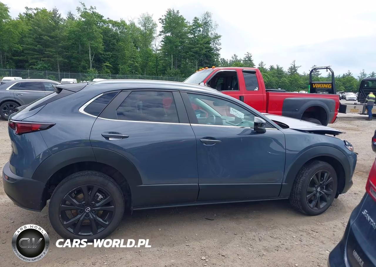 2023 Mazda Cx-30 2.5 S Carbon Edition VIN:3MVDMBCM6PM548123 - 13