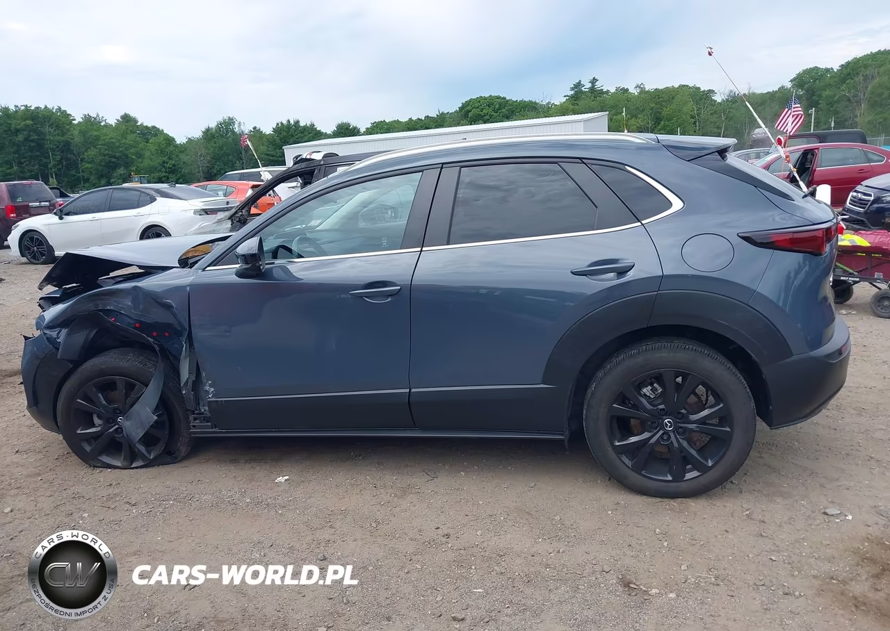 2023 Mazda Cx-30 2.5 S Carbon Edition VIN:3MVDMBCM6PM548123 - 14