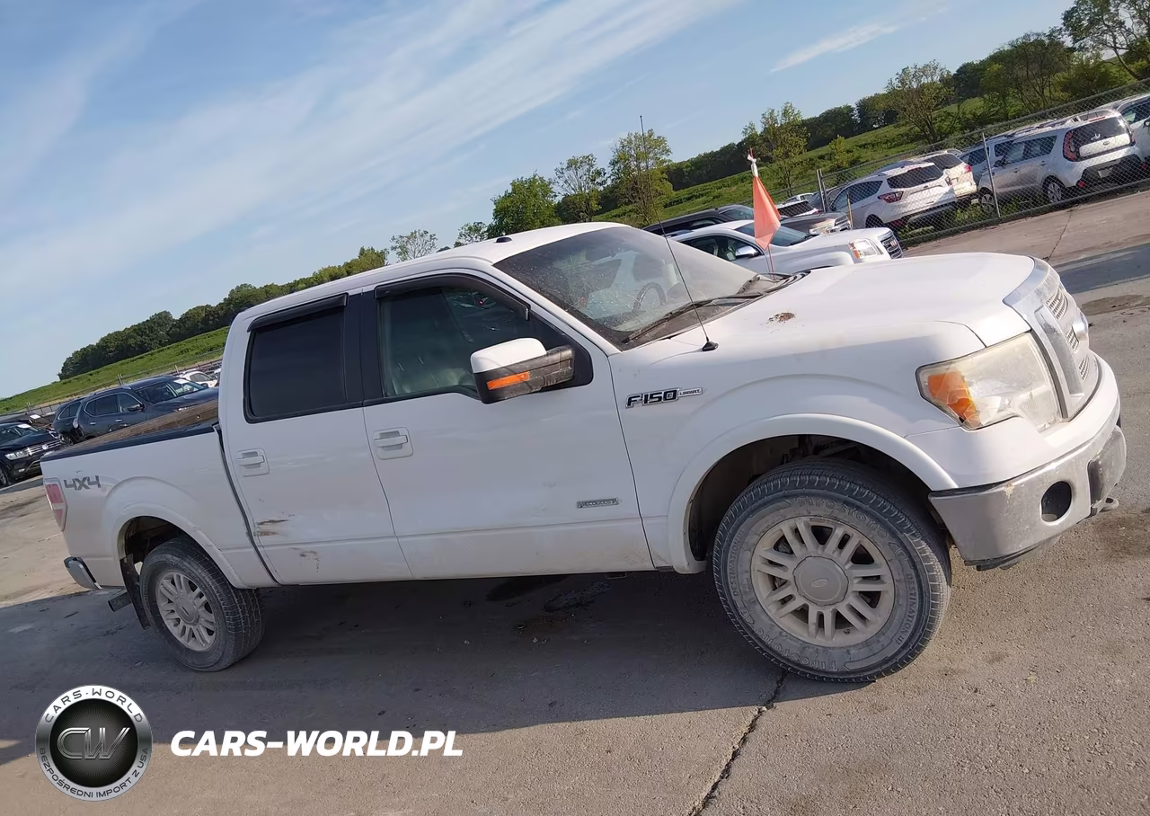 2011 Ford F-150 Fx4-King Ranch-Lariat-Platinum-Xlt VIN:1FTFW1ET7BFC20317 - 13