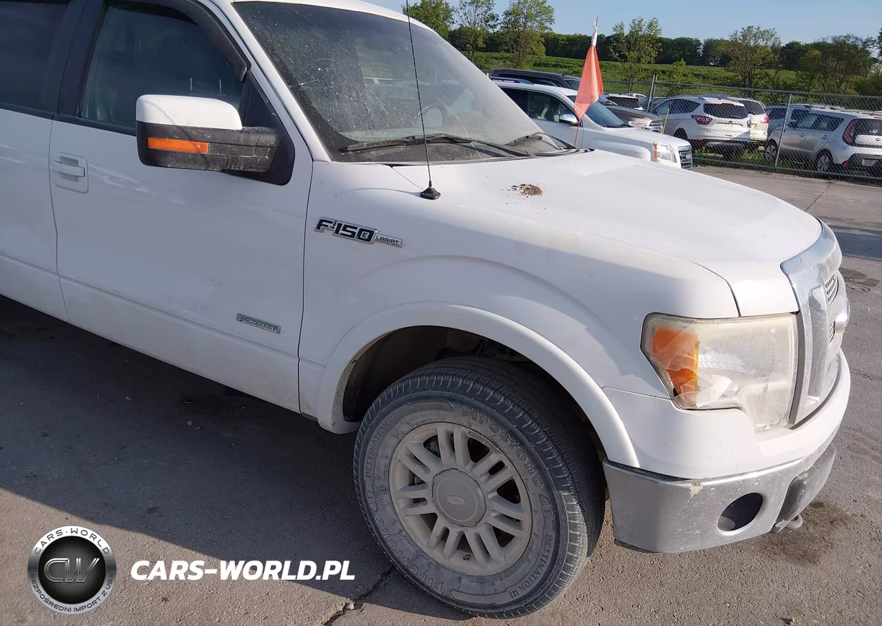 2011 Ford F-150 Fx4-King Ranch-Lariat-Platinum-Xlt VIN:1FTFW1ET7BFC20317 - 18