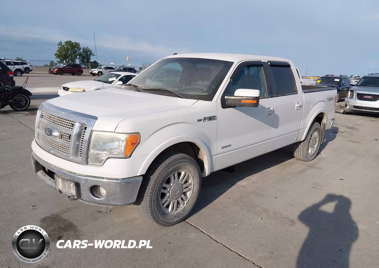 2011 Ford F-150 Fx4-King Ranch-Lariat-Platinum-Xlt VIN:1FTFW1ET7BFC20317 - 2