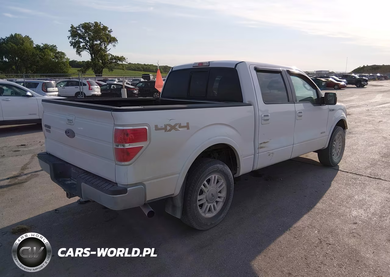2011 Ford F-150 Fx4-King Ranch-Lariat-Platinum-Xlt VIN:1FTFW1ET7BFC20317 - 4
