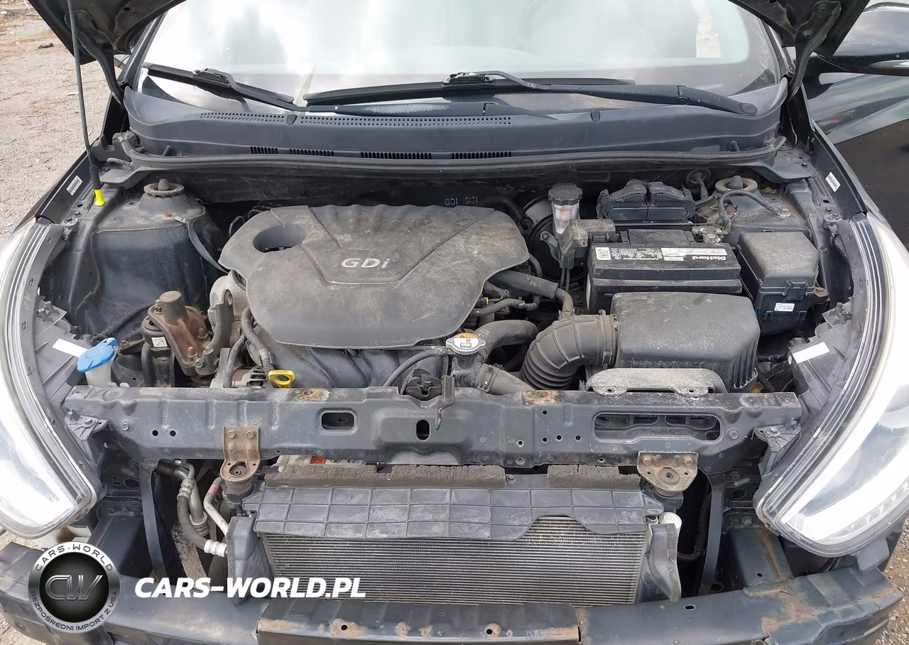 2014 Hyundai Accent Se VIN:KMHCU5AE3EU178666 - 10