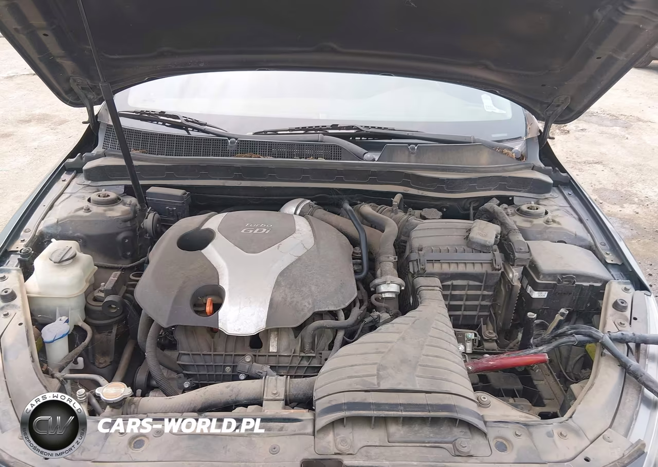 2011 Kia Optima Sx VIN:KNAGR4A61B5123131 - 10