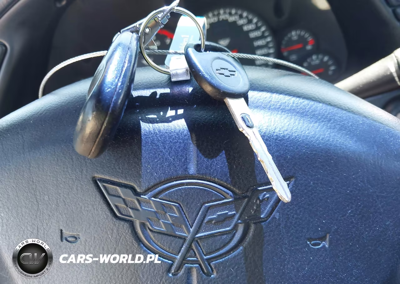 2001 Chevrolet Corvette VIN:1G1YY22G115103457 - 11