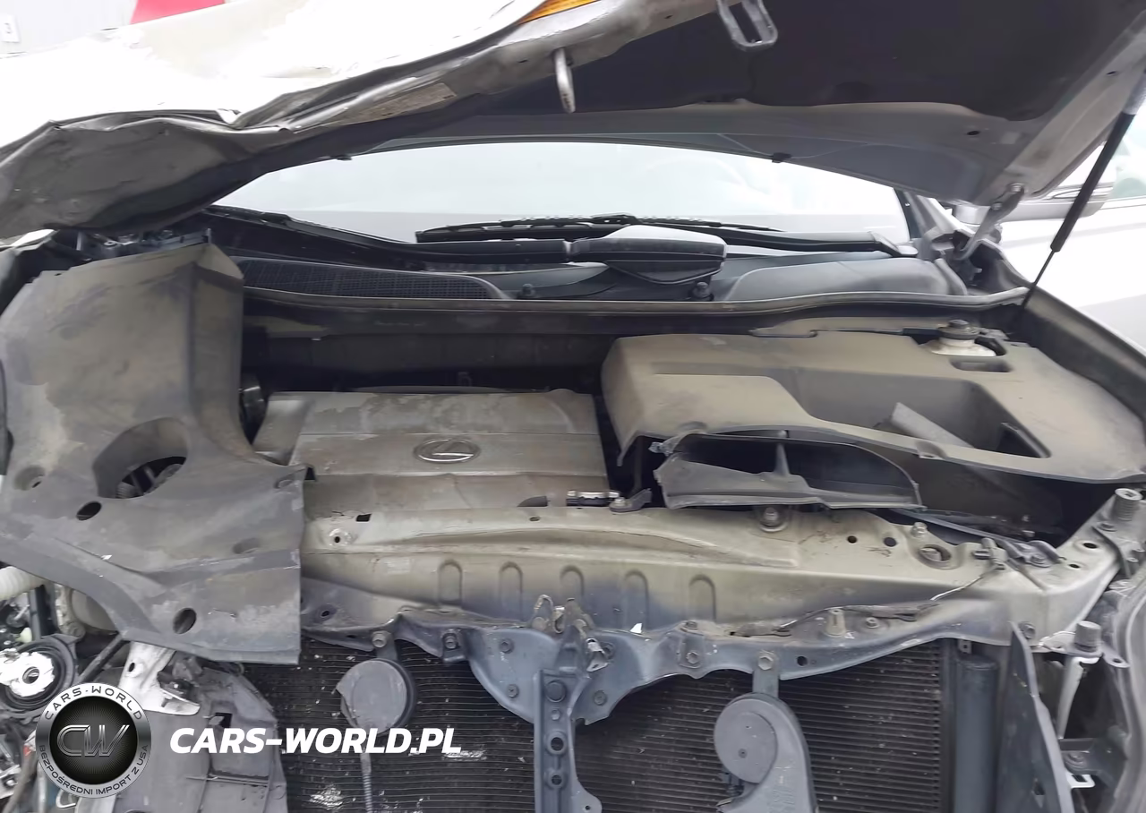 2010 Lexus Rx 350 VIN:2T2BK1BA8AC005366 - 10