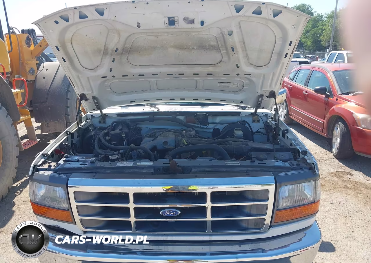 1993 Ford F150 VIN:1FTDF15Y2PLB24302 - 10