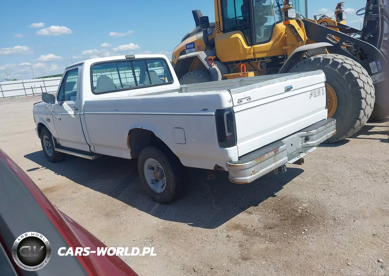 1993 Ford F150 VIN:1FTDF15Y2PLB24302 - 3