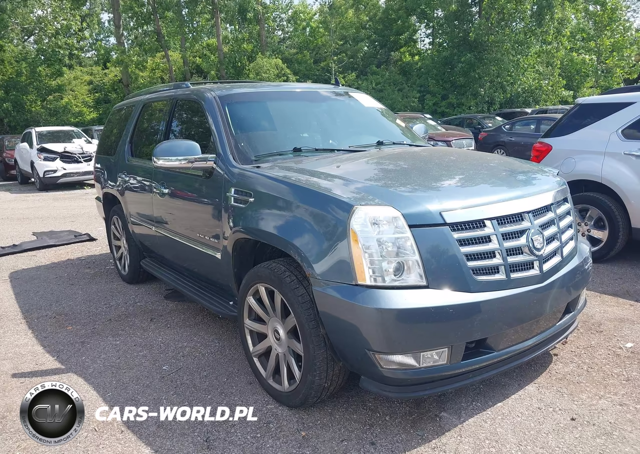 2009 Cadillac Escalade Standard VIN:1GYFK13229R249264 - 1