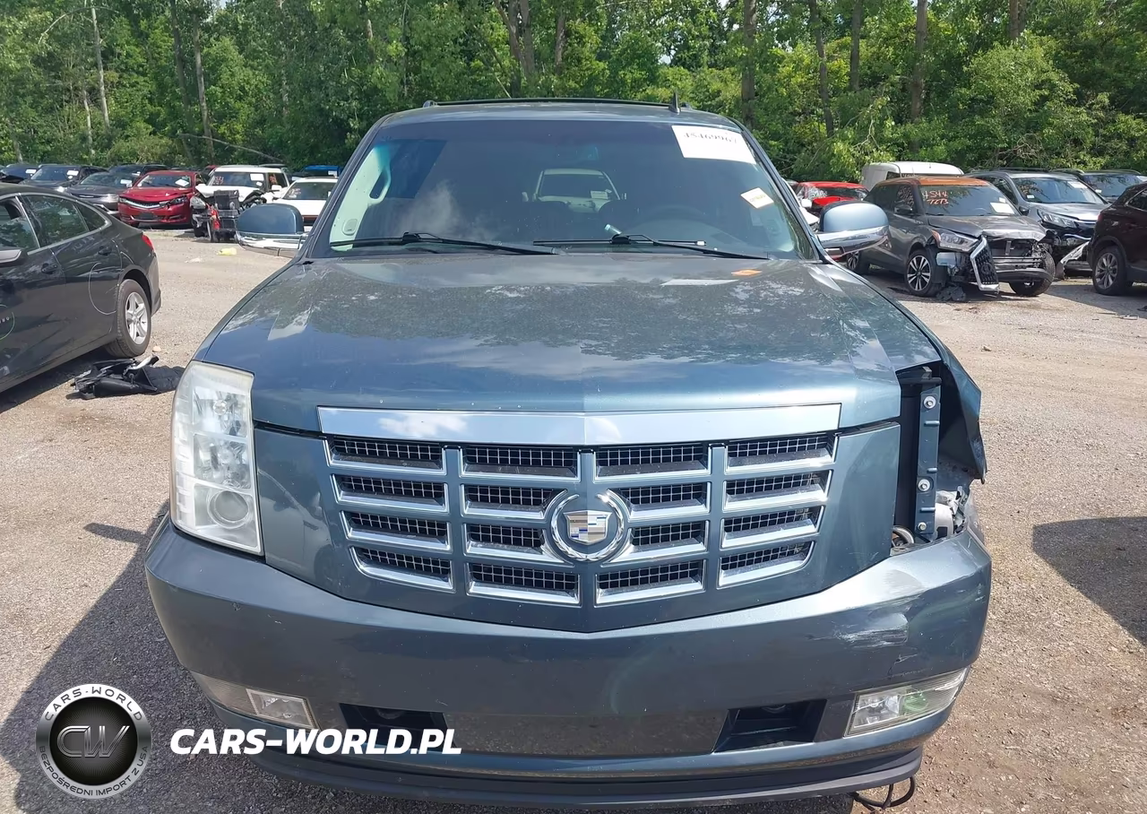 2009 Cadillac Escalade Standard VIN:1GYFK13229R249264 - 12