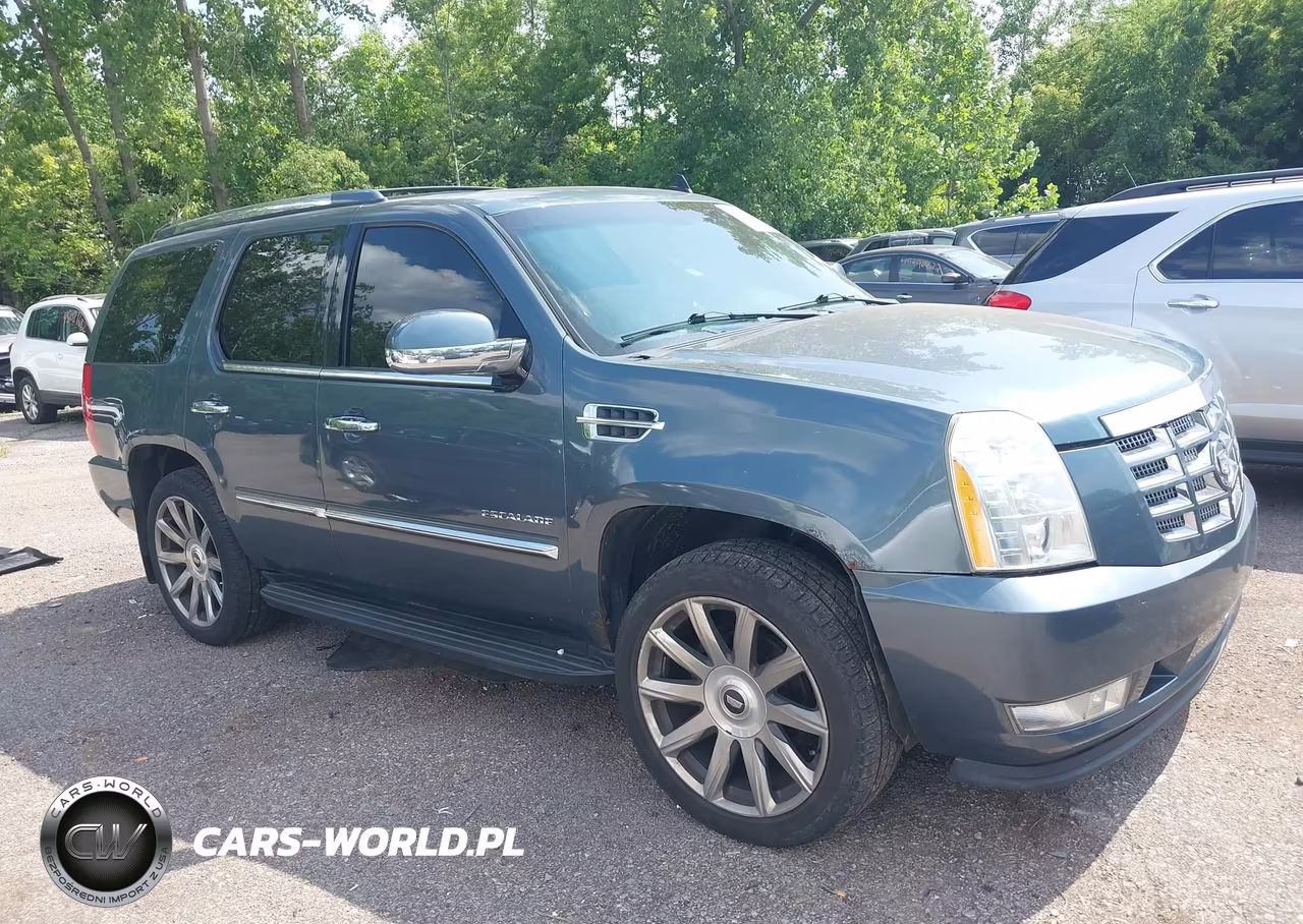 2009 Cadillac Escalade Standard VIN:1GYFK13229R249264 - 13