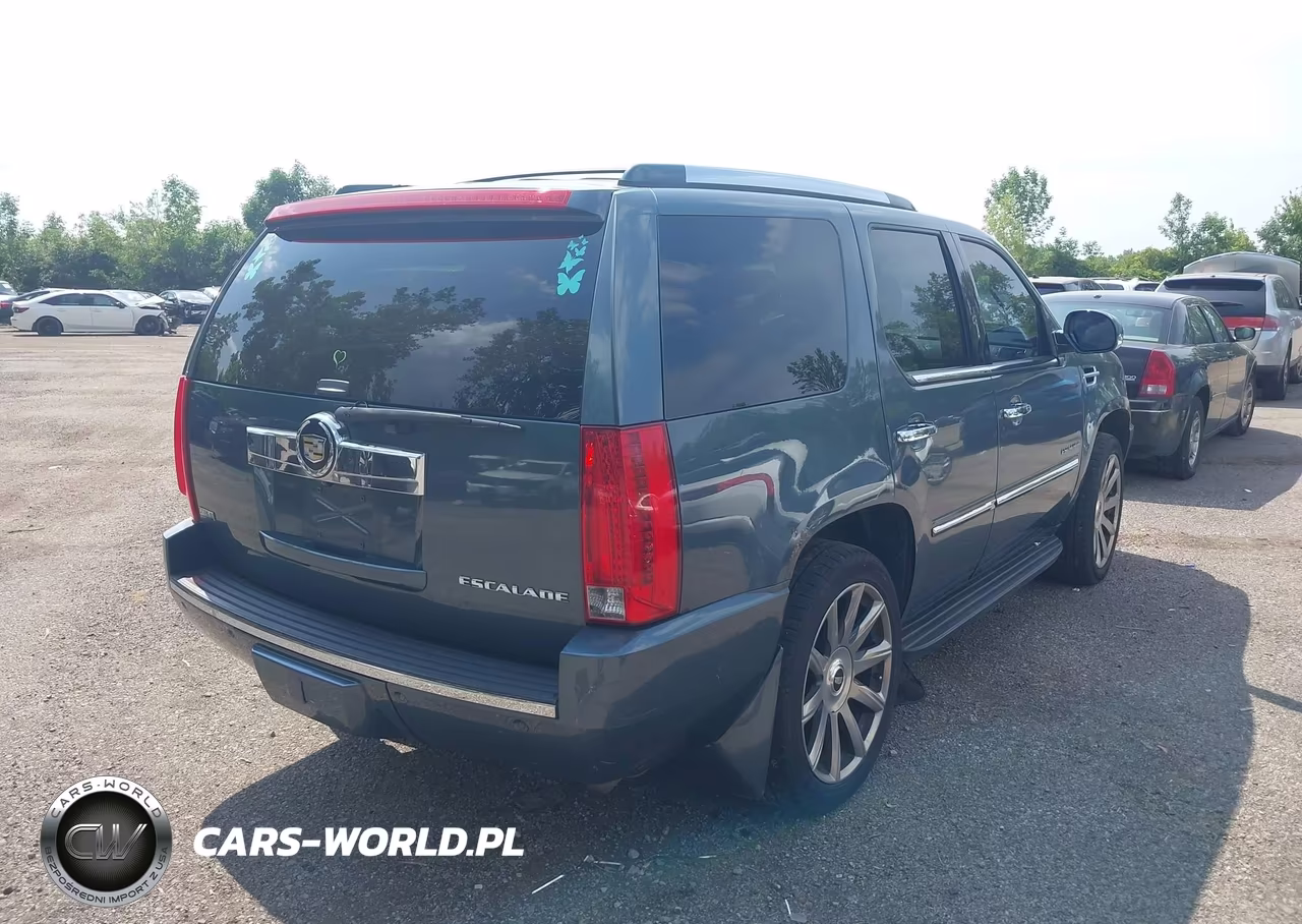 2009 Cadillac Escalade Standard VIN:1GYFK13229R249264 - 4