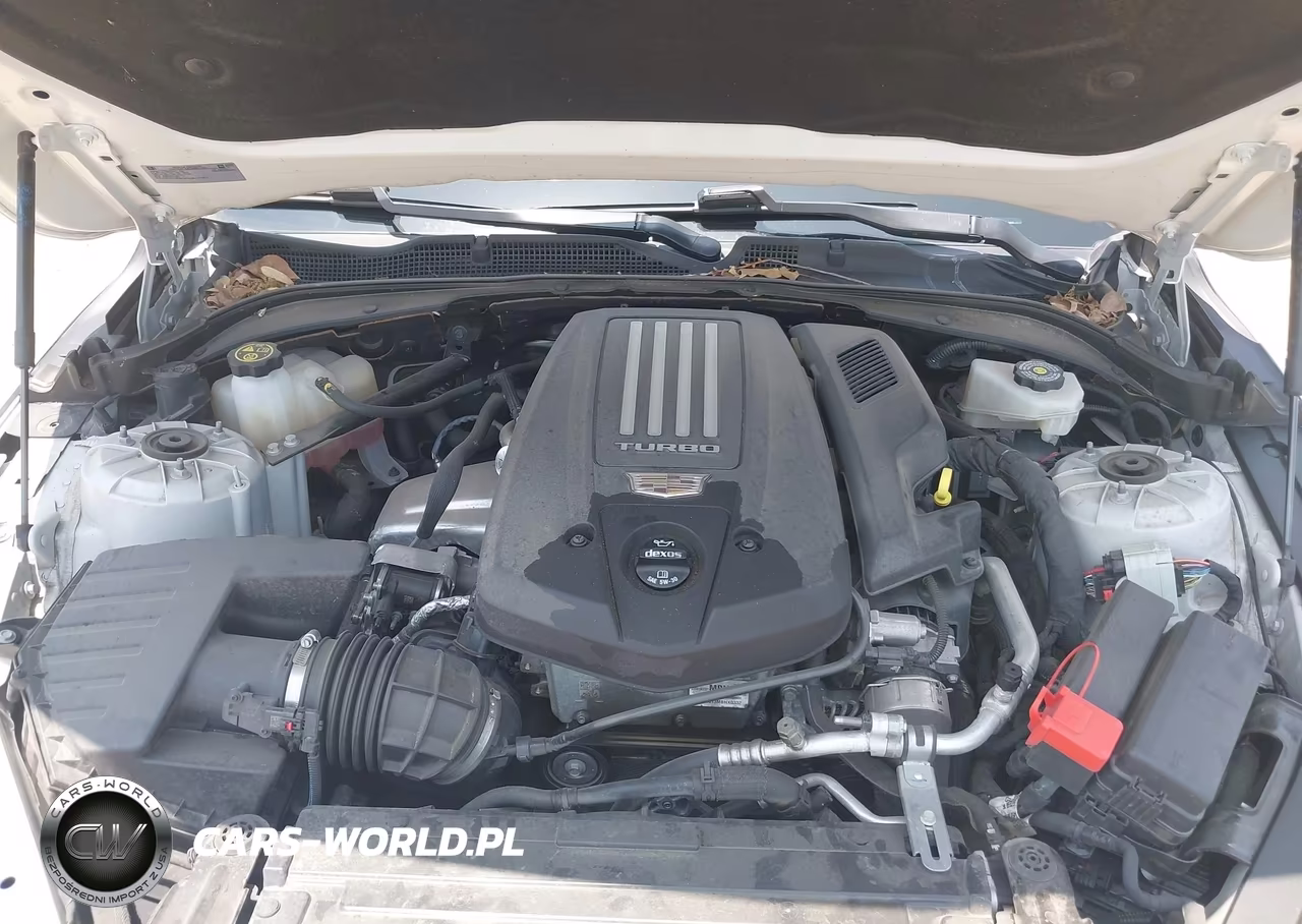2023 Cadillac Ct4-V V-Series VIN:1G6DD5RL9P0100045 - 10