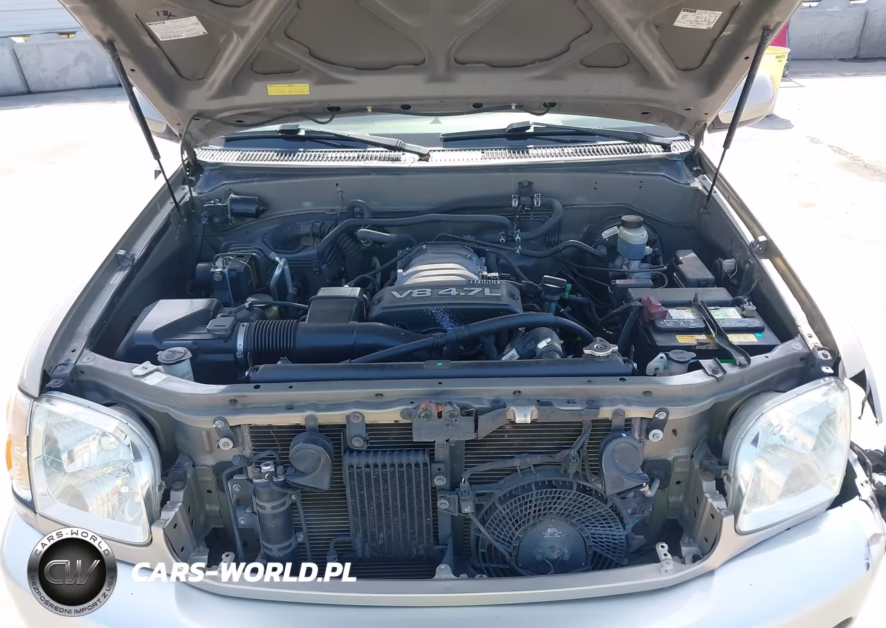 2003 Toyota Sequoia Sr5 V8 VIN:5TDZT34A53S156667 - 10