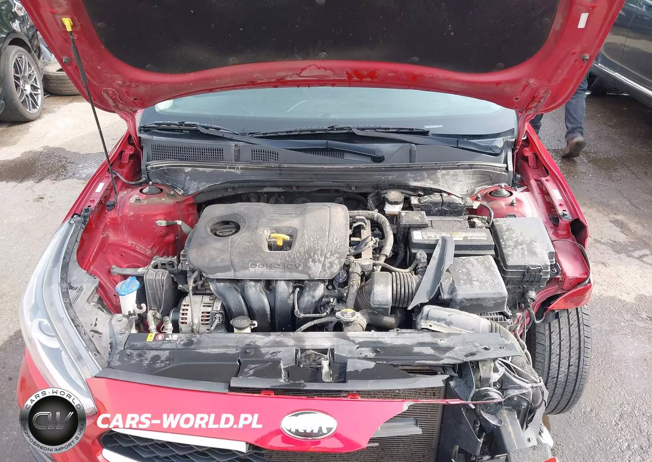 2019 Kia Forte Lxs VIN:3KPF24AD4KE135960 - 10