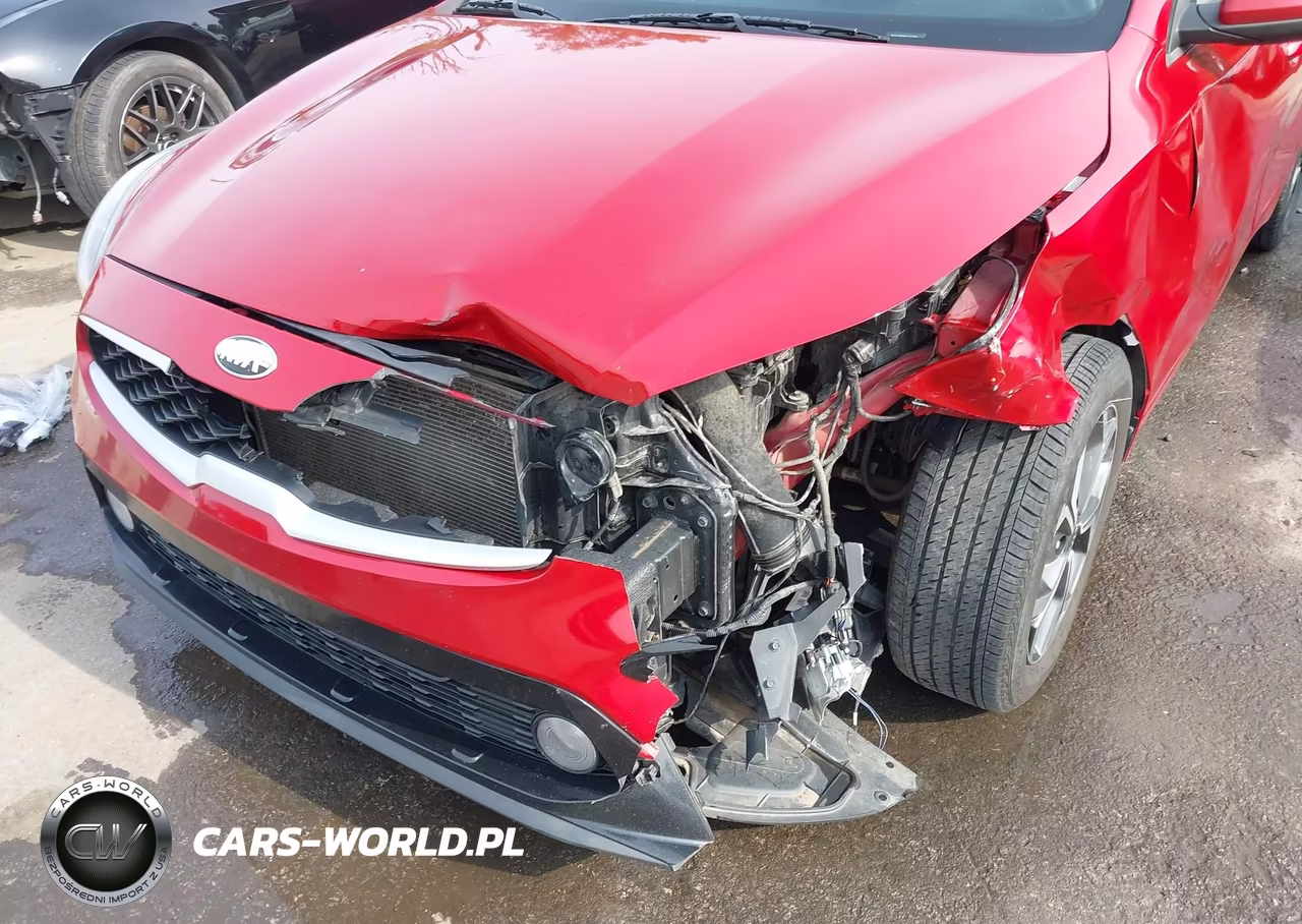 2019 Kia Forte Lxs VIN:3KPF24AD4KE135960 - 6