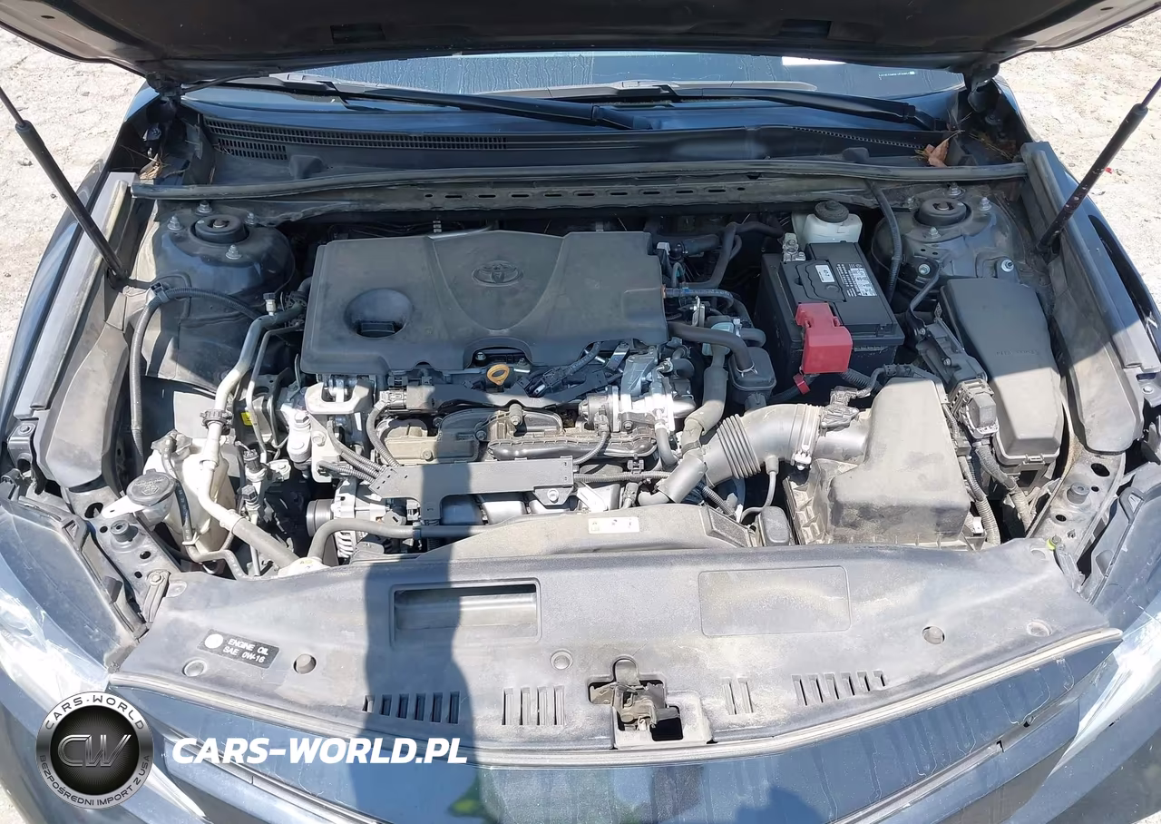 2020 Toyota Camry Le VIN:4T1C11AKXLU510851 - 10