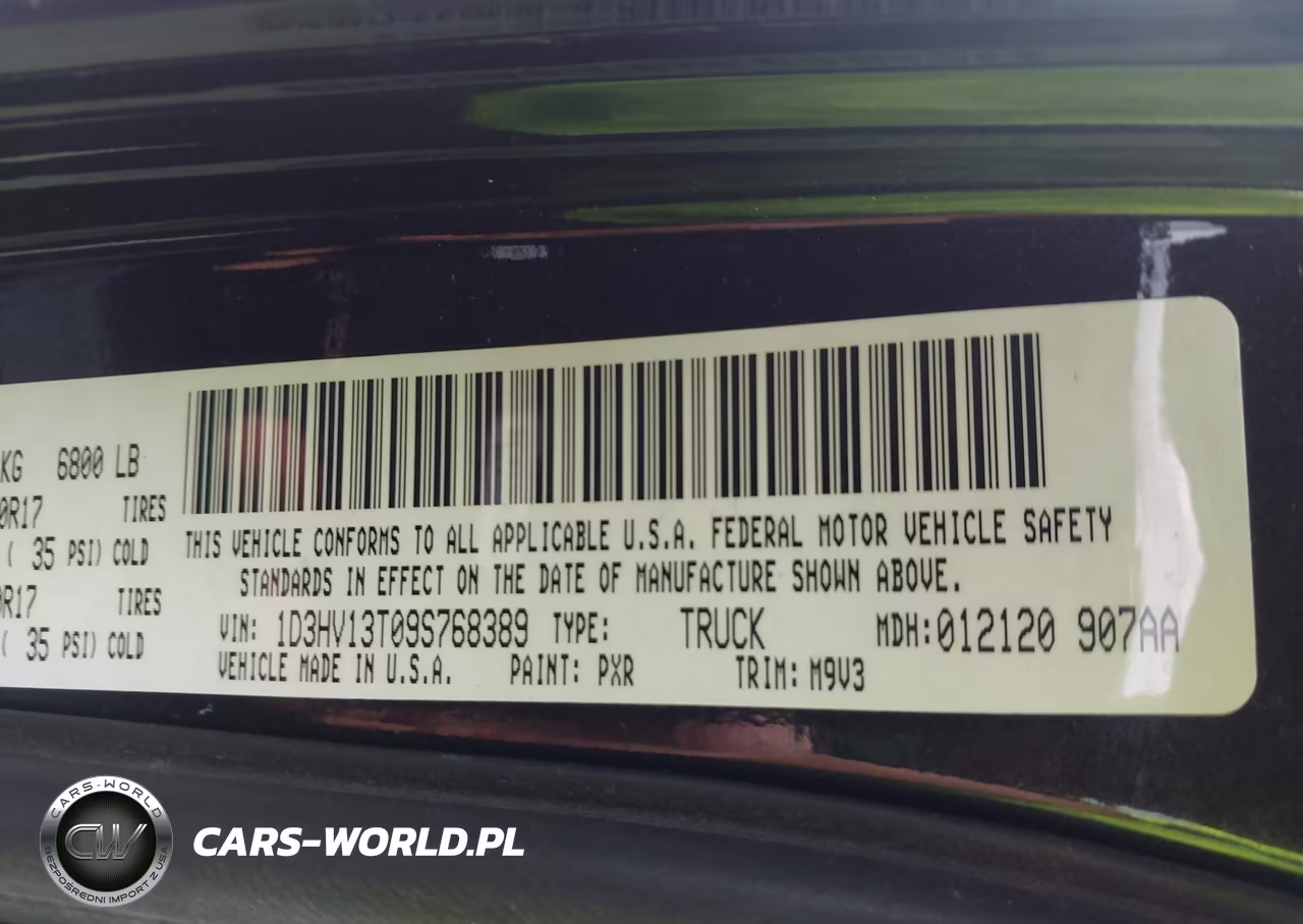 2009 Dodge Ram 1500 Slt-Sport-Trx VIN:1D3HV13T09S768389 - 9