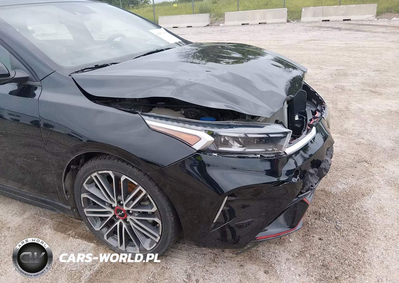 2022 Kia Forte Gt VIN:3KPF44AC6NE501052 - 19