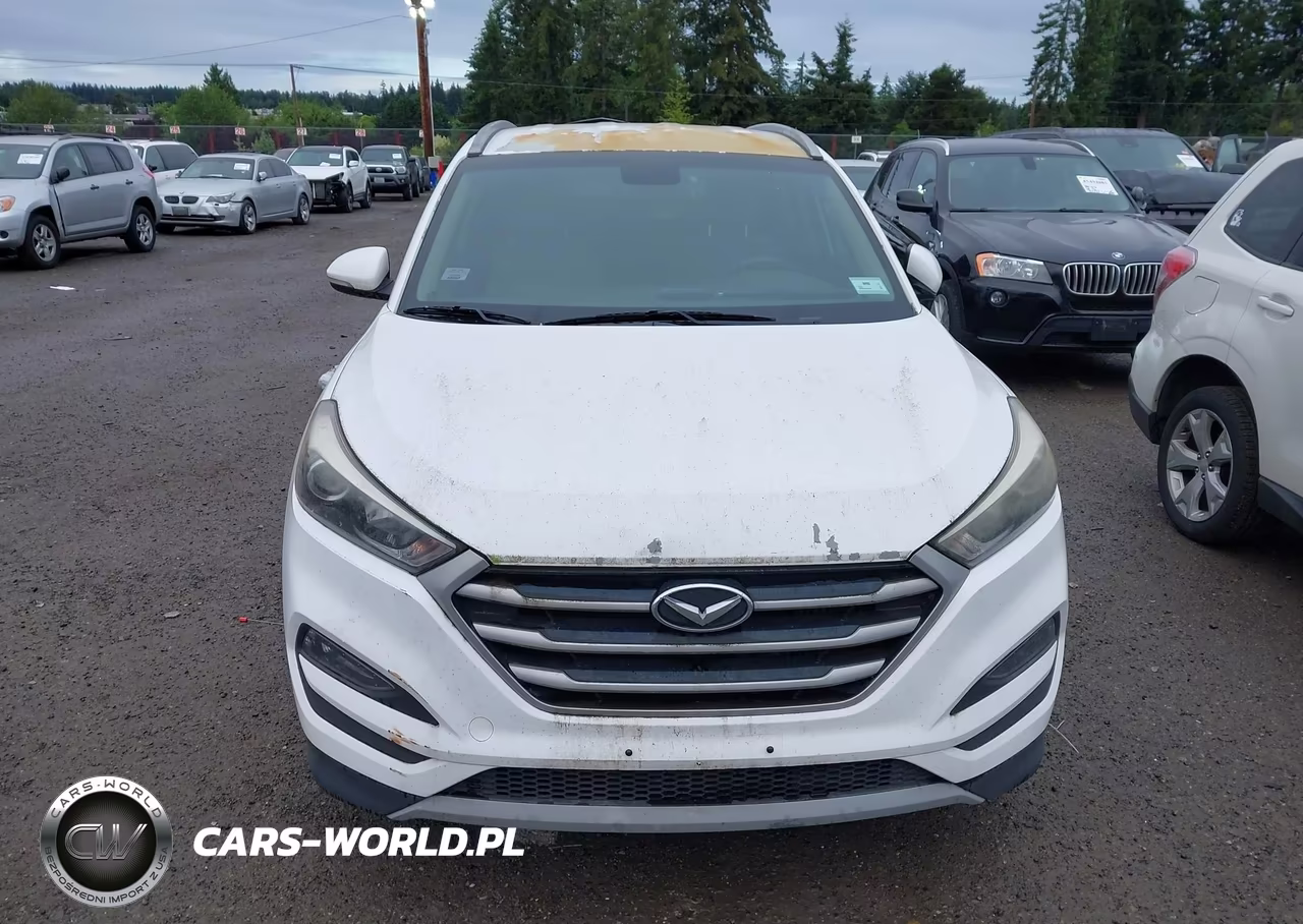 2017 Hyundai Tucson Sport VIN:KM8J33A2XHU386486 - 12