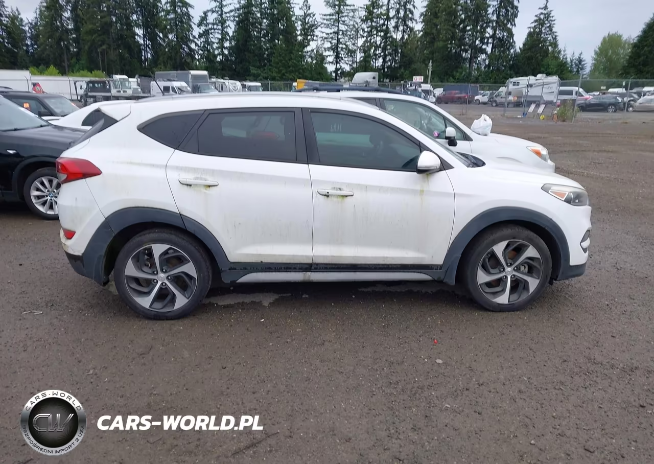 2017 Hyundai Tucson Sport VIN:KM8J33A2XHU386486 - 13