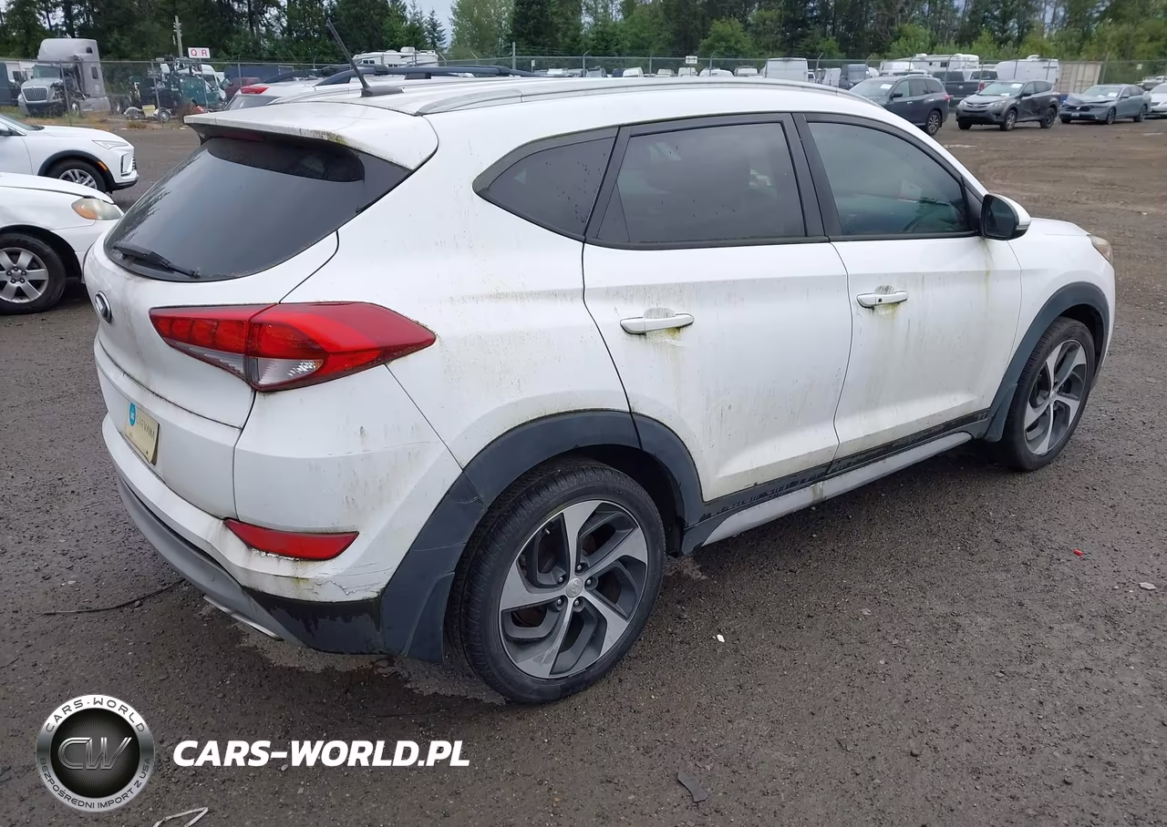 2017 Hyundai Tucson Sport VIN:KM8J33A2XHU386486 - 4
