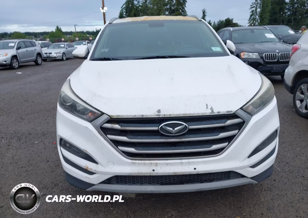 2017 Hyundai Tucson Sport VIN:KM8J33A2XHU386486 - 6