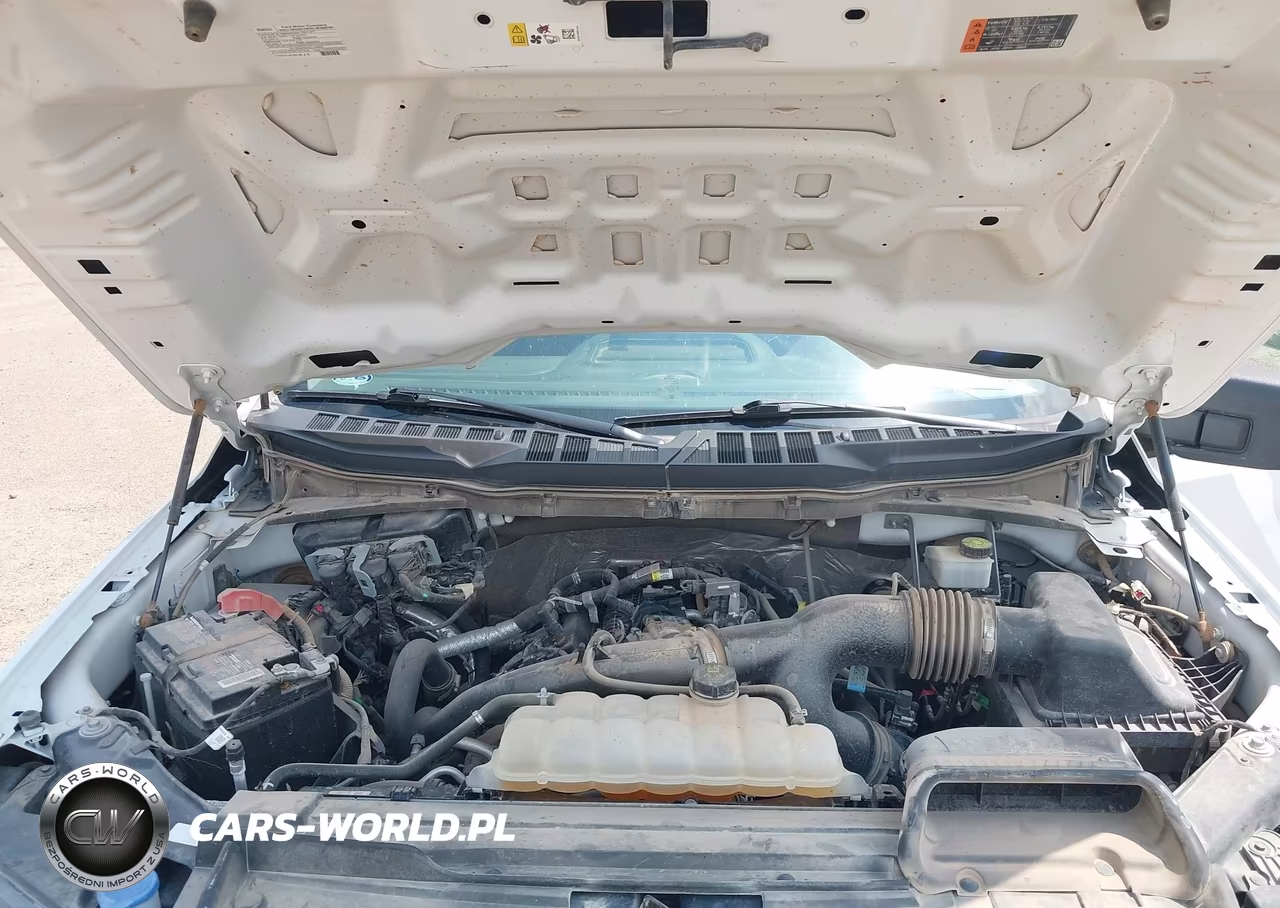 2023 Ford F-150 Xl VIN:1FTMF1EP8PKD16868 - 10