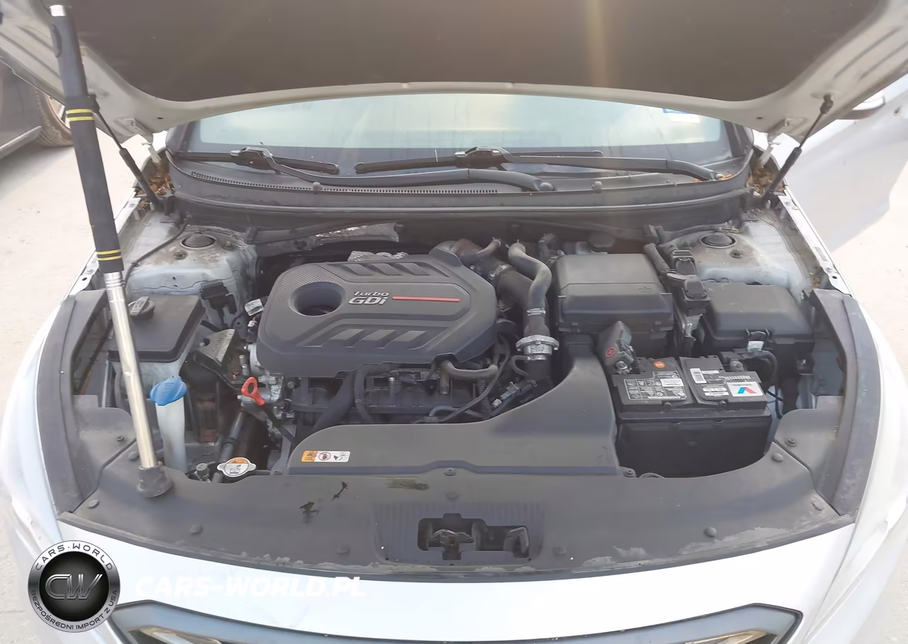 2017 Hyundai Sonata Sport 2.0T VIN:5NPE34AB8HH446643 - 10