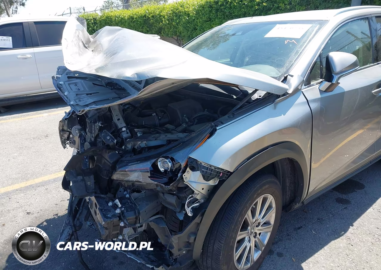 2021 Lexus Nx 300 VIN:JTJDARBZ8M2191303 - 12