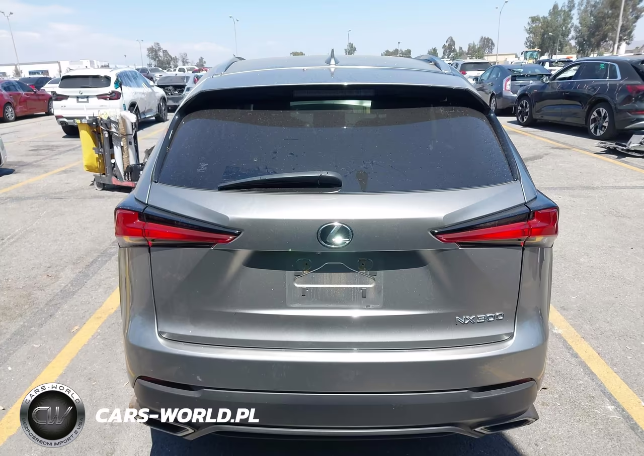 2021 Lexus Nx 300 VIN:JTJDARBZ8M2191303 - 17