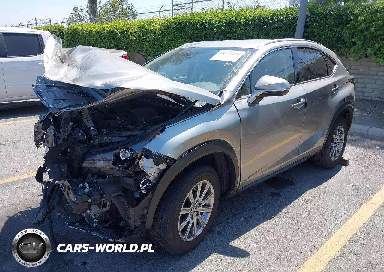 2021 Lexus Nx 300 VIN:JTJDARBZ8M2191303 - 2