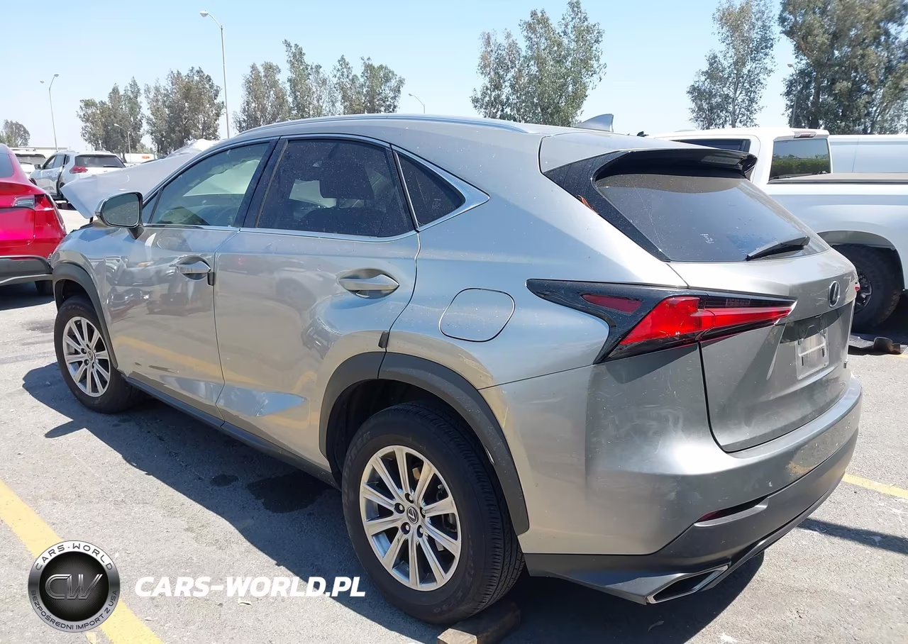 2021 Lexus Nx 300 VIN:JTJDARBZ8M2191303 - 3