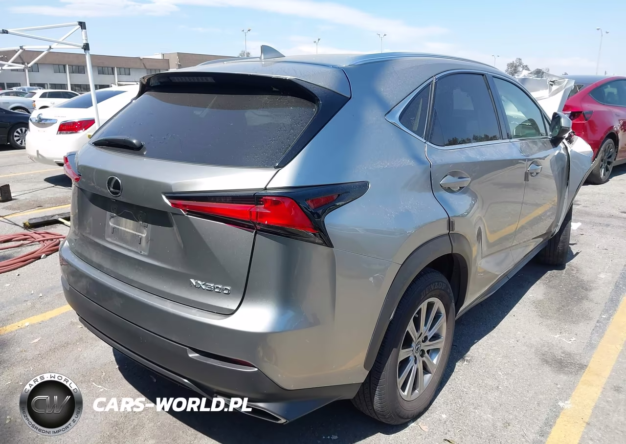 2021 Lexus Nx 300 VIN:JTJDARBZ8M2191303 - 4