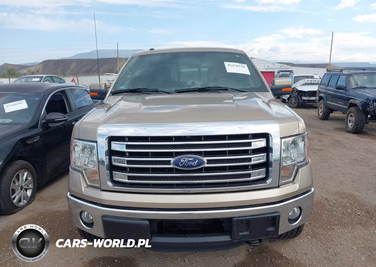 2013 Ford F-150 Fx4-King Ranch-Lariat-Limited-Platinum-Xl-Xlt VIN:1FTFW1ET1DKD89968 - 12