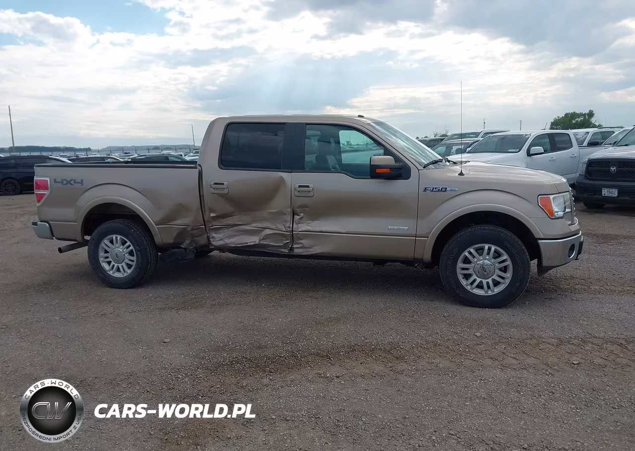 2013 Ford F-150 Fx4-King Ranch-Lariat-Limited-Platinum-Xl-Xlt VIN:1FTFW1ET1DKD89968 - 13