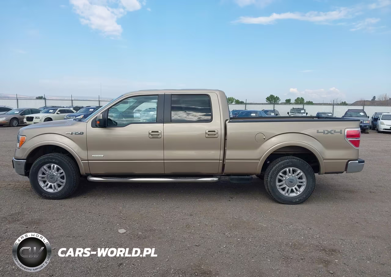 2013 Ford F-150 Fx4-King Ranch-Lariat-Limited-Platinum-Xl-Xlt VIN:1FTFW1ET1DKD89968 - 14