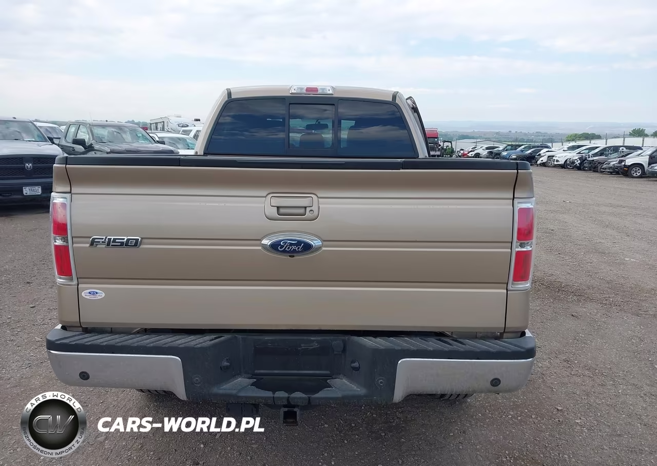 2013 Ford F-150 Fx4-King Ranch-Lariat-Limited-Platinum-Xl-Xlt VIN:1FTFW1ET1DKD89968 - 16